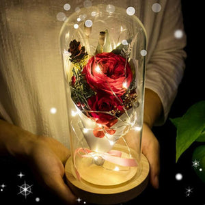 ENCHANTED ROSE LIGHT - SPECIAL EDITION