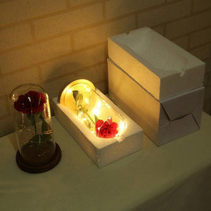 ENCHANTED ROSE LIGHT - SPECIAL EDITION