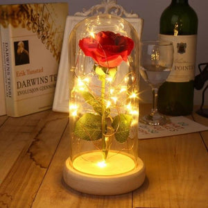 ENCHANTED ROSE LIGHT - SPECIAL EDITION