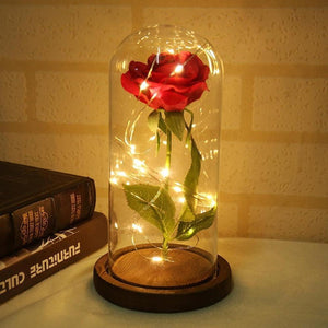 ENCHANTED ROSE LIGHT - SPECIAL EDITION